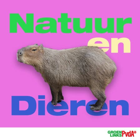 Afbeelding capibara met de tekst natuur en dieren